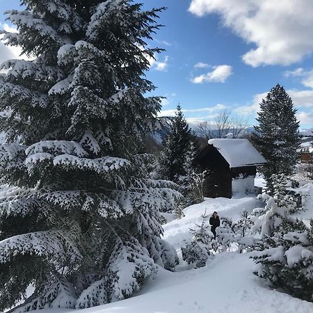 Haus Grimmingblick Villa Zlem Kültér fotó