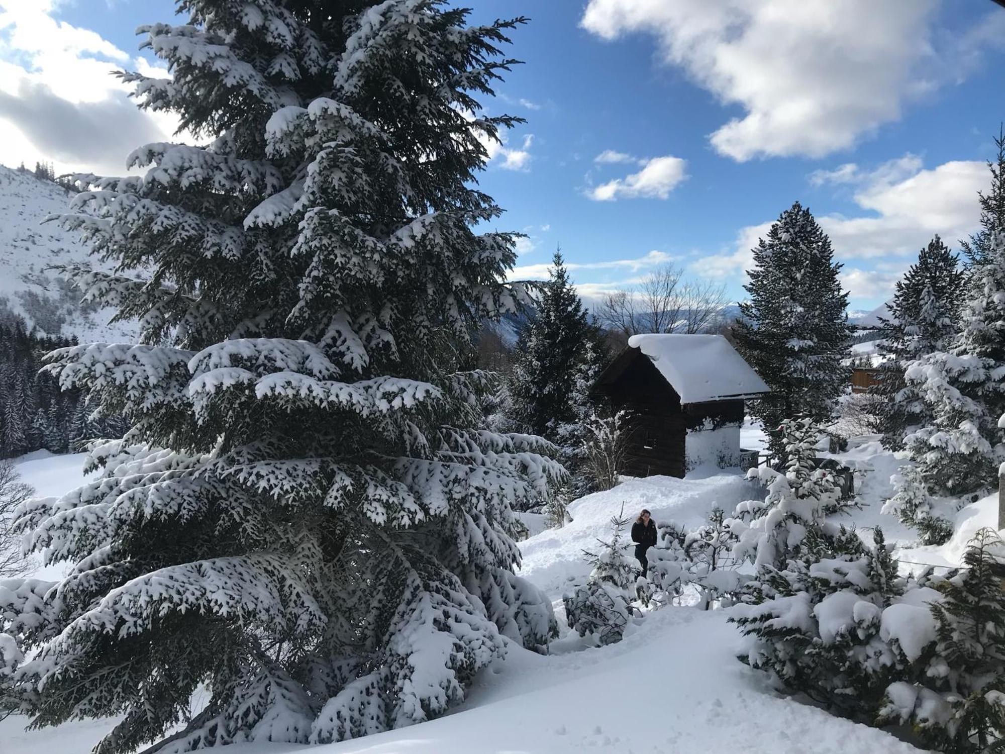 Haus Grimmingblick Villa Zlem Kültér fotó