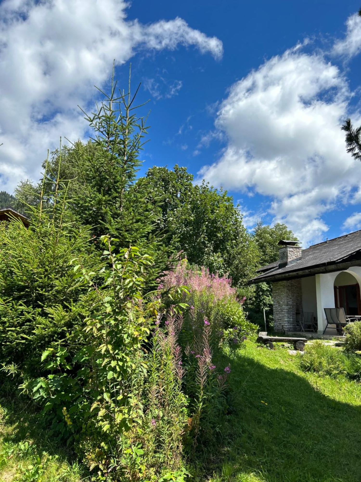 Haus Grimmingblick Villa Zlem Kültér fotó